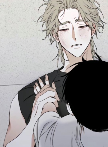 飞扬人生（雨中青年）热门小说免费全文阅读_追寻梦想与坚持自我的启示之旅