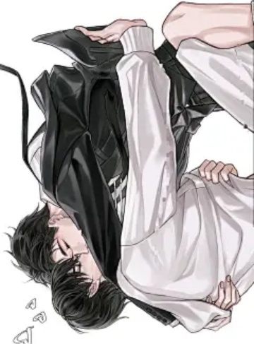 三国寇封（骑着毛驴追流星）言情小说最新章节更新_在风雨中崛起，如何书写逆境中的传奇人生