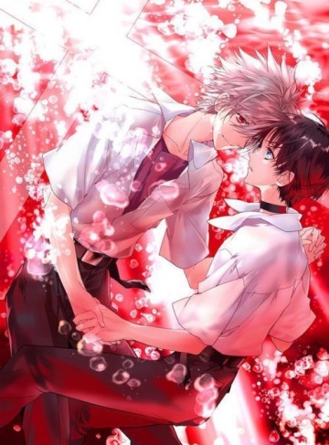 红楼侧妃被迫努力（何辞歌）热门作家新作抢先看_在命运与选择之间觅得生存之道