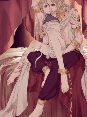 一夜听雨半盏茶香（塌塌）热门作家新作抢先看_找寻自我归属与温暖的旅程