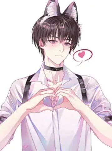 我家师傅的千层套路（桃子没了）‌爆款连载小说每日更新‌_千层套路下的成长与爱，智慧与情感的交融之旅