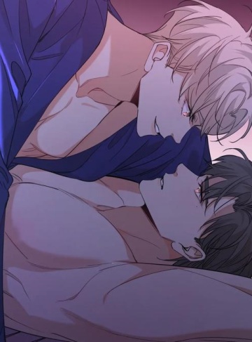 以貌相亲（鹊桥西）‌高分都市小说排行榜‌_在爱情与成长中寻找真我，触碰内心最柔软的地方